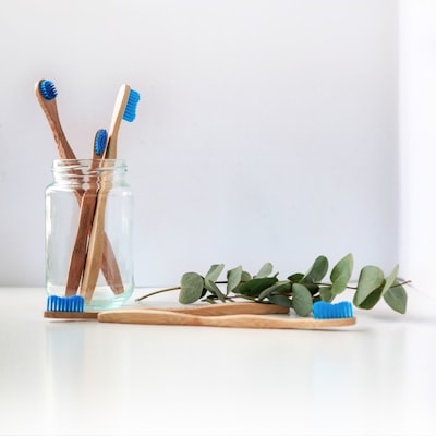 Bamboo Toothbrush Set